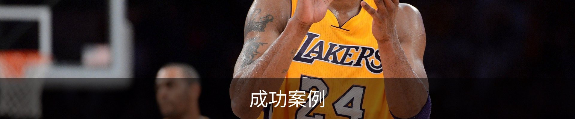 成功案例